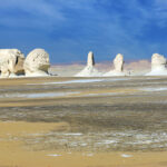 Gallery Thumbnail 4