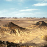 Gallery Thumbnail 7