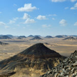 Gallery Thumbnail 6