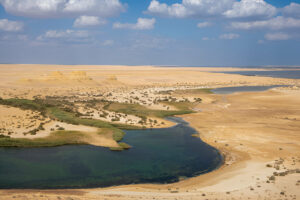Excursión de un Día al Fayoum desde El Cairo | Tour Privado