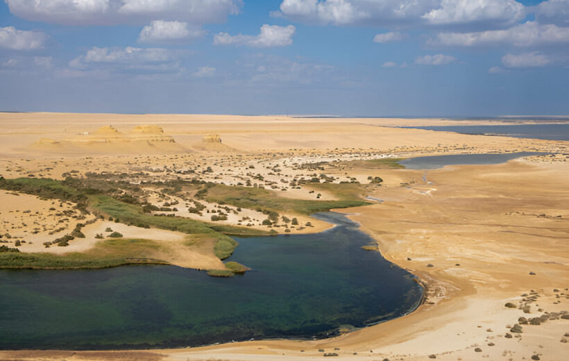 Excursión de un Día al Fayoum desde El Cairo | Tour Privado