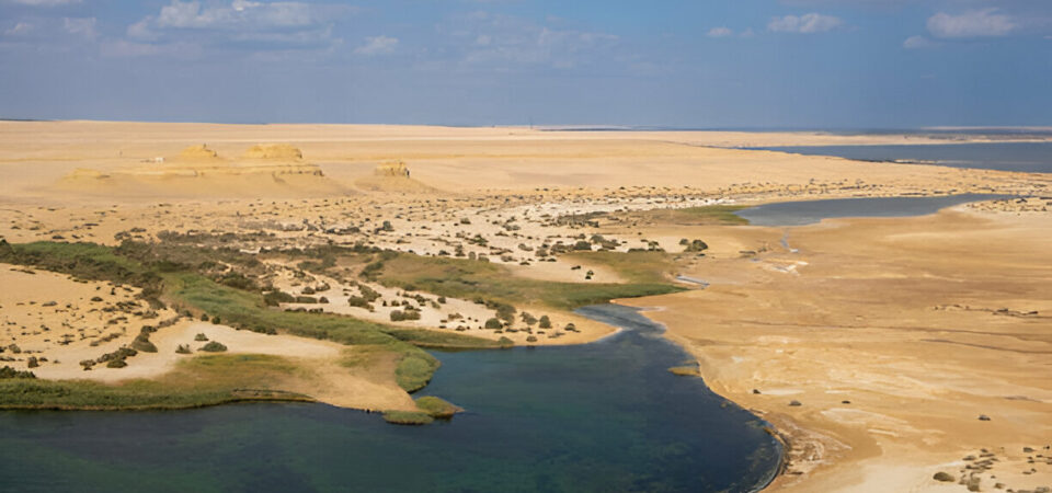 Excursión de un Día al Fayoum desde El Cairo
