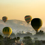 Gallery Thumbnail 4