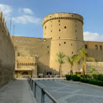 Gallery Thumbnail 11