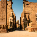 Gallery Thumbnail 10