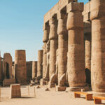 Gallery Thumbnail 11