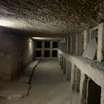 Gallery Thumbnail 23